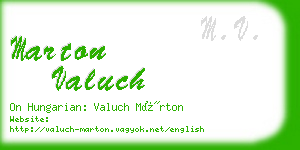 marton valuch business card